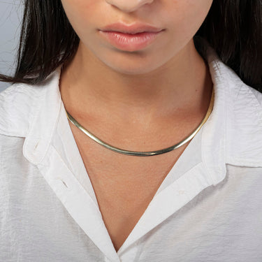 Best of Both Worlds Gold Omega Chain Necklace